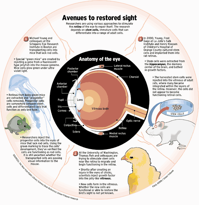 The San Diego Union Tribune