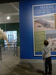 New Bedford Whaling Museum